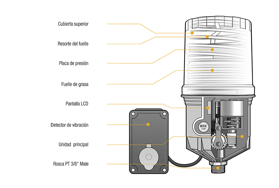 Cross-section